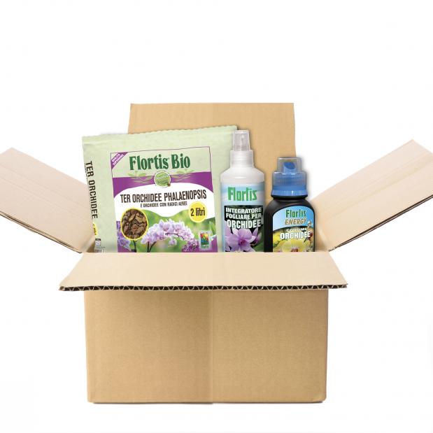 Orchid love phalaenopsis starter - kit prodotti