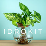 Idrokit - kit prodotti