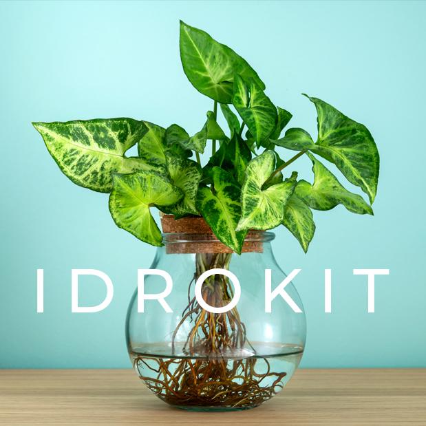 Idrokit - kit prodotti