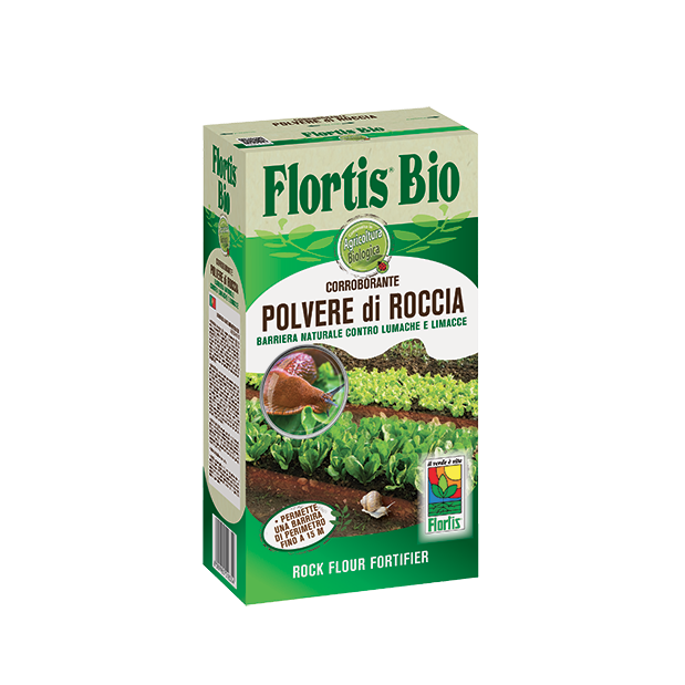 polvere di roccia 1 kg