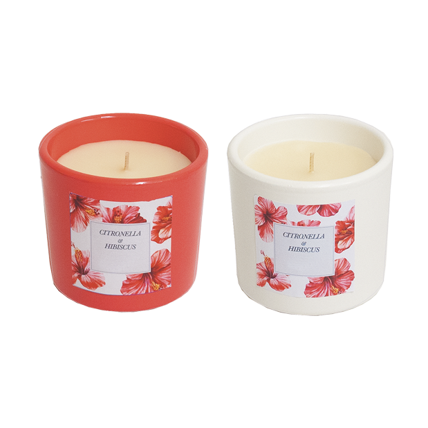 Vaso in terracotta con citronella e hibiscus