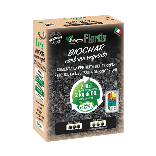 biochar carbone vegetale