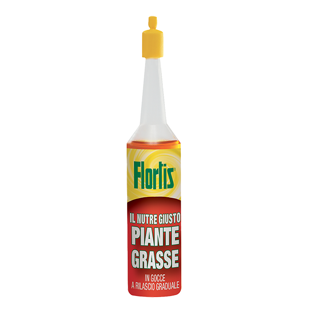 Il nutre giusto® piante grasse