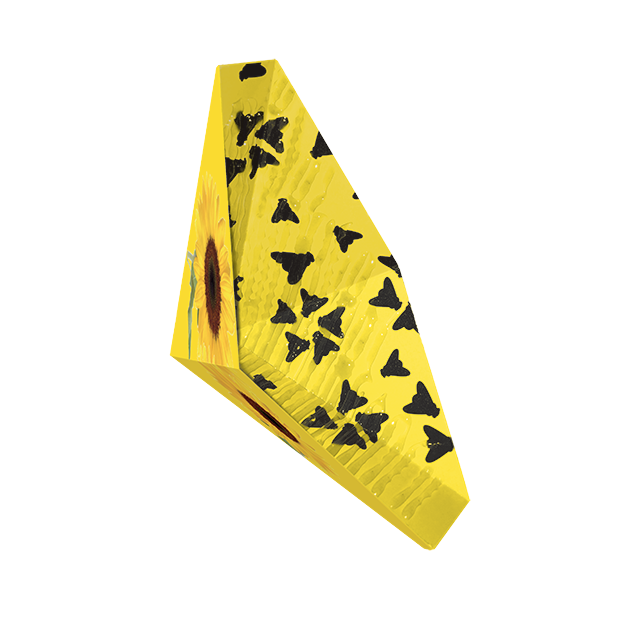 TRAPPOLA MOSCHE TRIANGOLARE