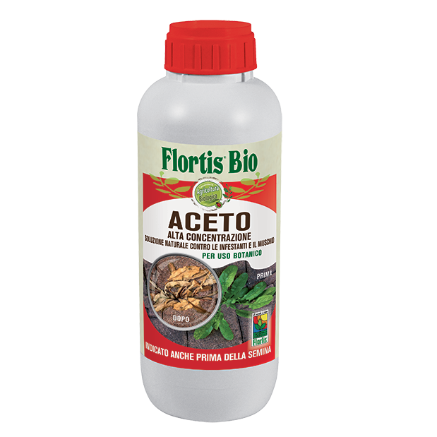 aceto concentrato 1 l