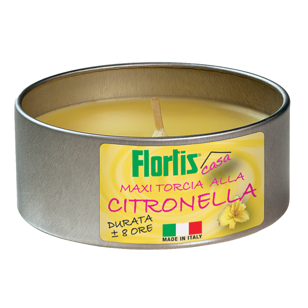 MAXI TORCIA ALLA CITRONELLA