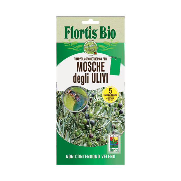 trappola cromotropica verde - alt mosche degli ulivi 5 pezzi