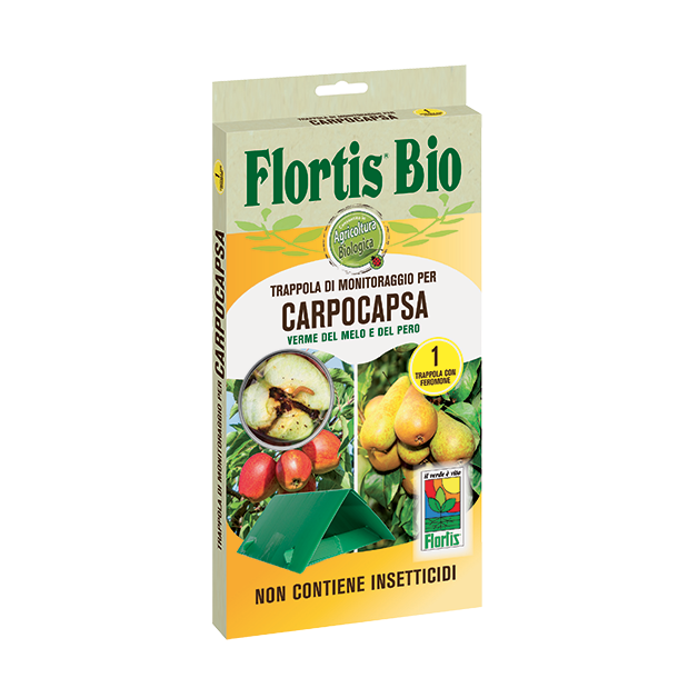 trappola verme melo e pero con feromone 1 trappola