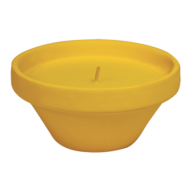 VASO IN TERRACOTTA CON CITRONELLA - CARIBE
