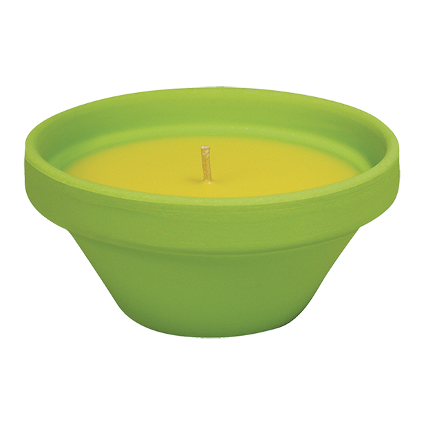 VASO IN TERRACOTTA CON CITRONELLA - CARIBE