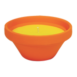 VASO IN TERRACOTTA CON CITRONELLA - CARIBE