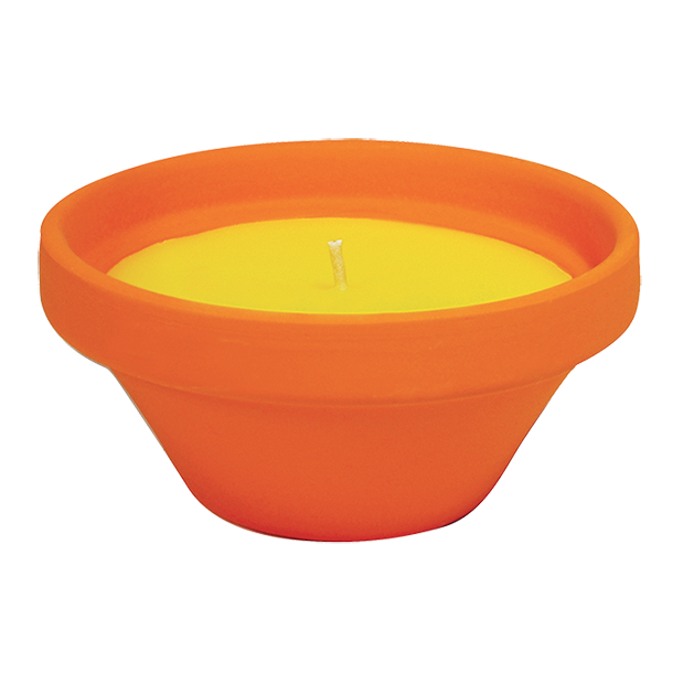 VASO IN TERRACOTTA CON CITRONELLA - CARIBE