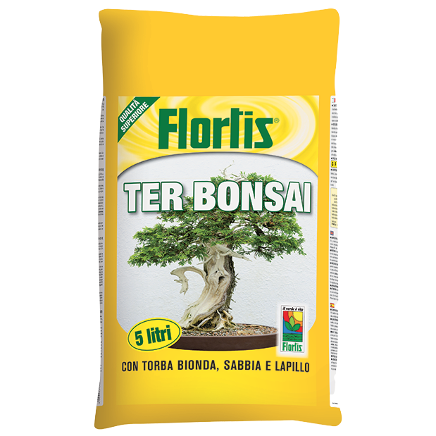 BONSAI TERRICCIO 5 litri