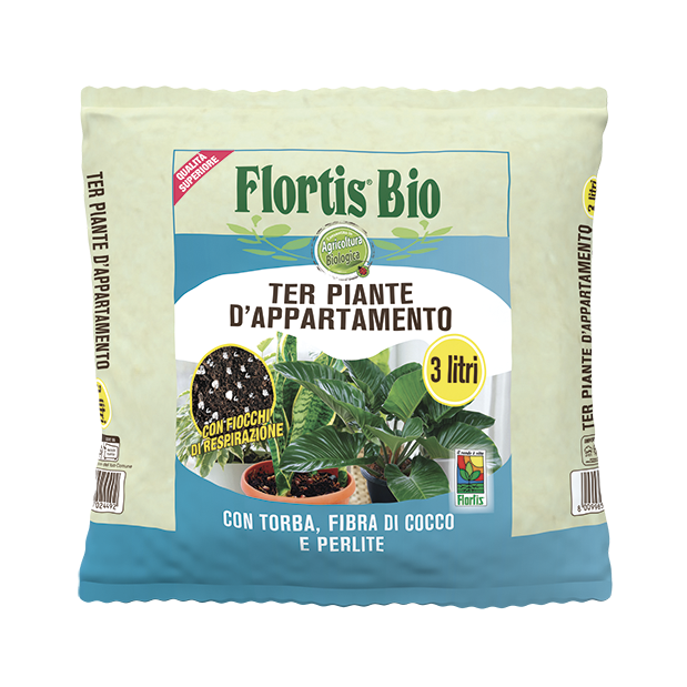Ter piante d'appartamento 3 litri