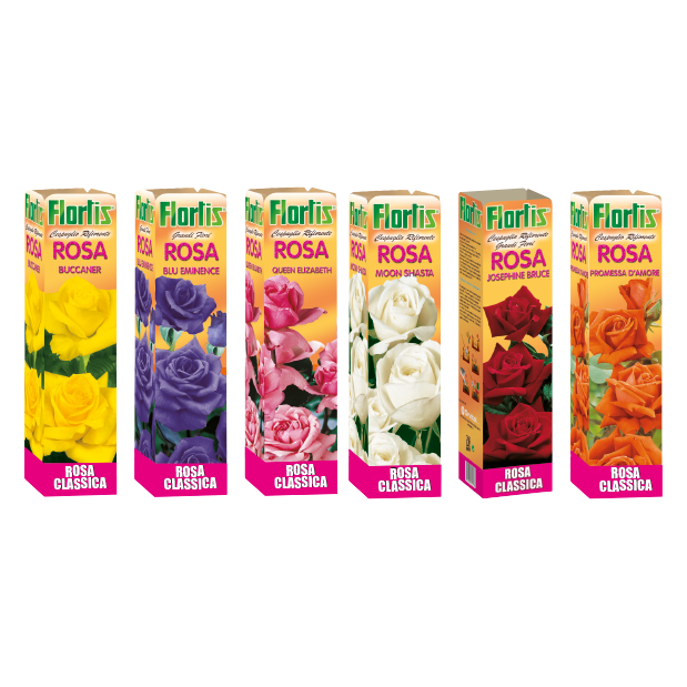 ROSE CLASSICHE MIX
