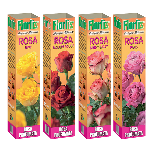 ROSE PROFUMATE PREGIATE MIX