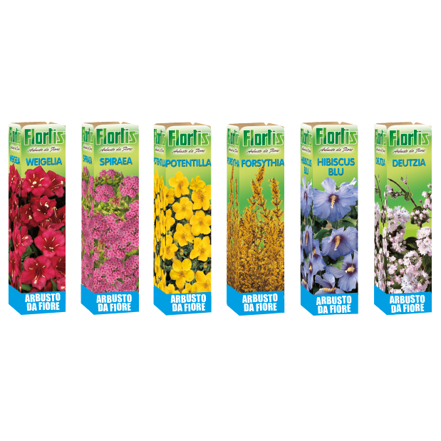 ARBUSTI DA FIORE SET 2 MIX