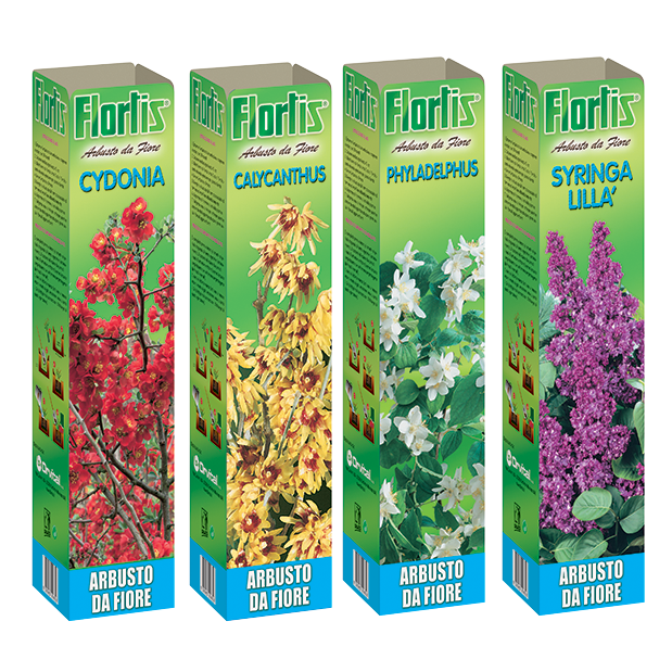 ARBUSTI DA FIORE SET 1 MIX