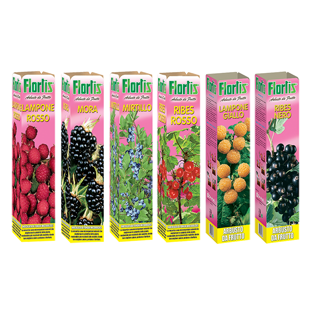 ARBUSTI DA FRUTTO MIX