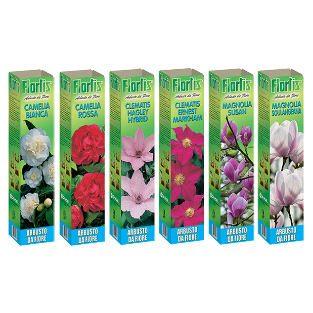CAMELIE, MAGNOLIE, CLEMATIS MIX