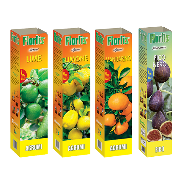 Agrumi e fico nero