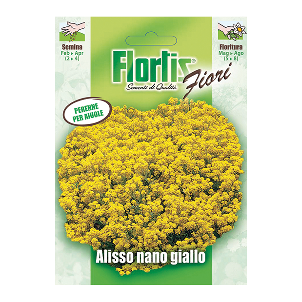 ALISSO NANO GIALLO