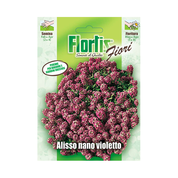 ALISSO NANO VIOLETTO