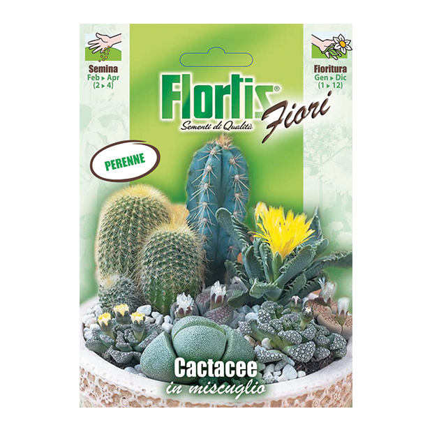 CACTACEE in miscuglio