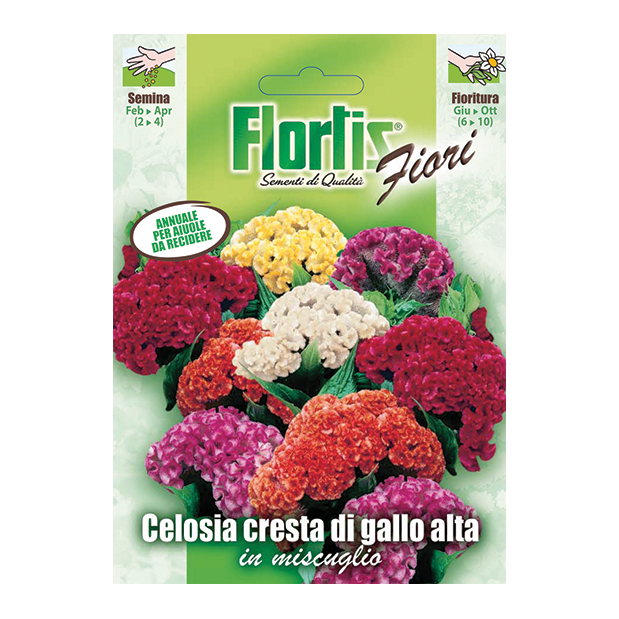 CELOSIA CRESTA DI GALLO in miscuglio