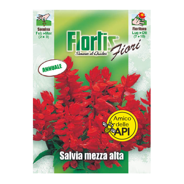 SALVIA MEZZA ALTA