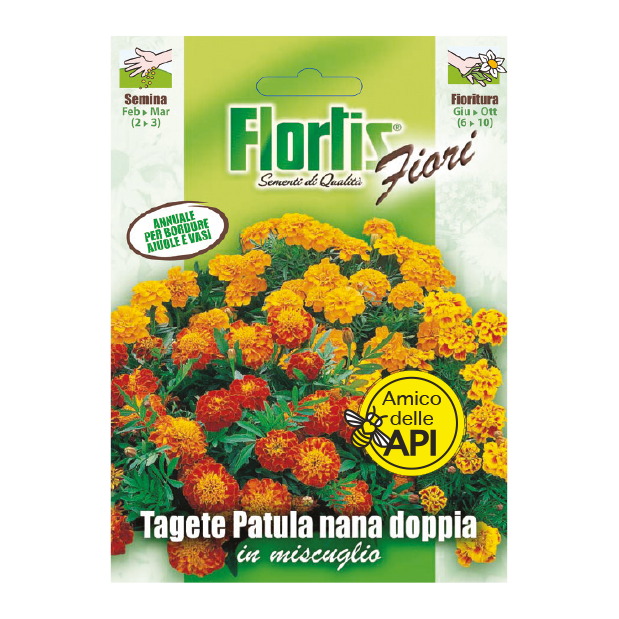 TAGETE NANA PATULA DOPPIA