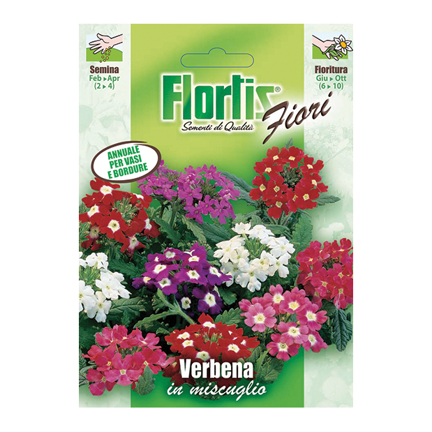 VERBENA