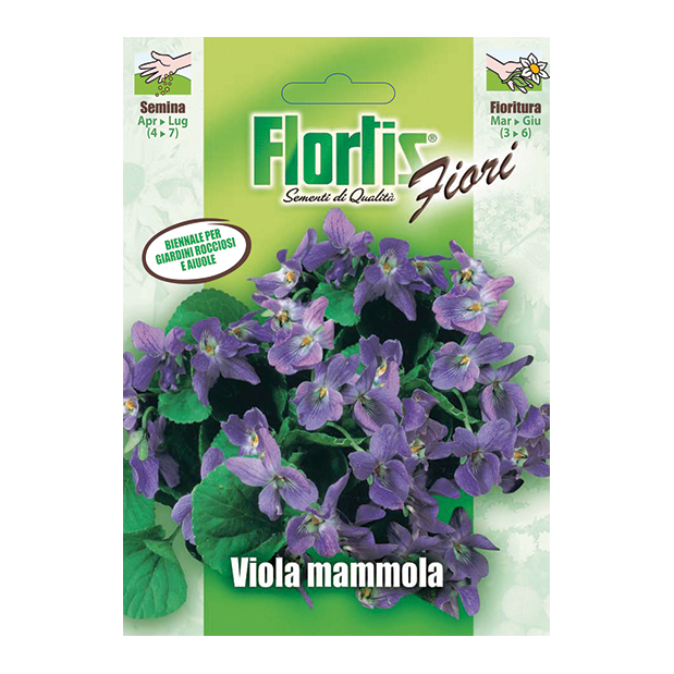VIOLA MAMMOLA