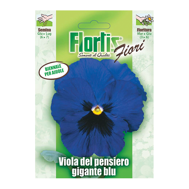 VIOLA DEL PENSIERO GIGANTE BLU
