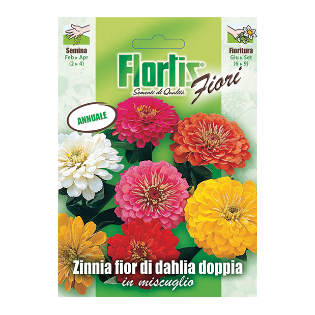 ZINNIA FIOR DALIA DOPPIA