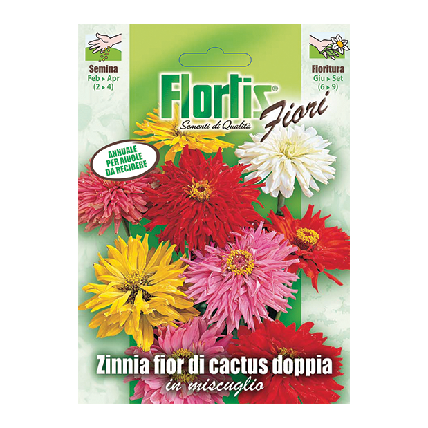 ZINNIA FIOR DI CACTUS DOPPIA