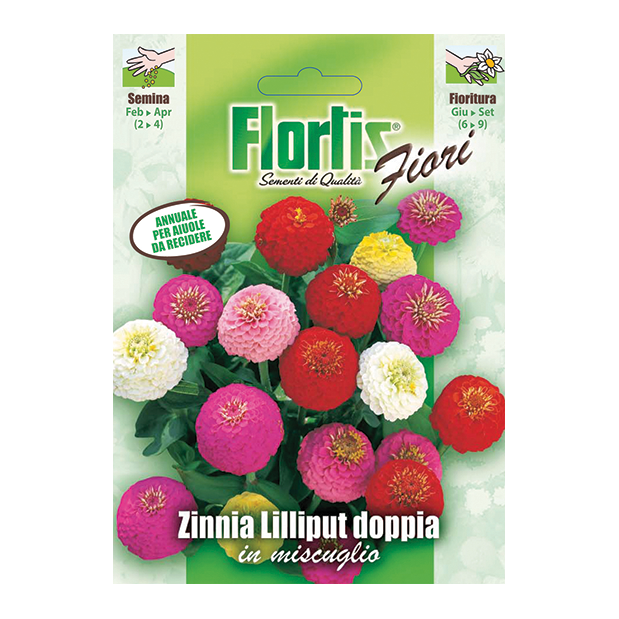 ZINNIA LILLIPUT DOPPIA