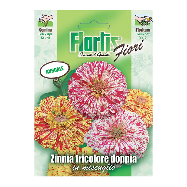 ZINNIA TRICOLORE DOPPIA