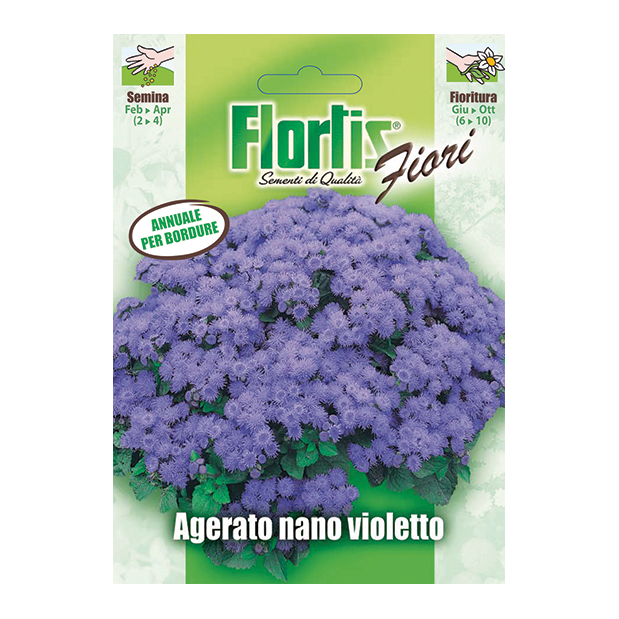 AGERATO NANO VIOLETTO