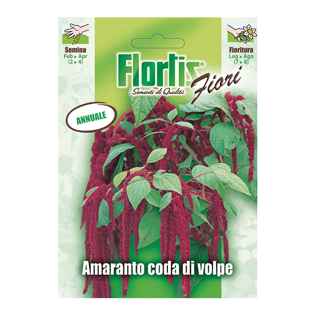 AMARANTO CODA DI VOLPE