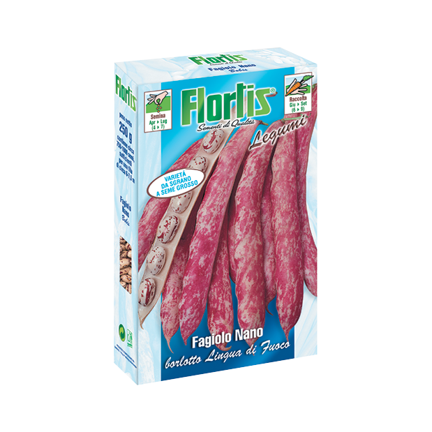 BORLOTTO LINGUA DI FUOCO