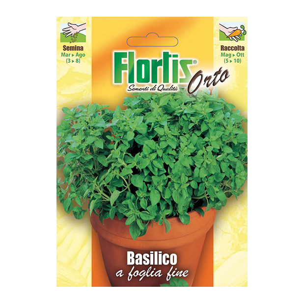 BASILICO a foglia fine
