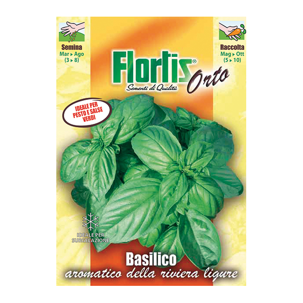BASILICO aromatico ligure