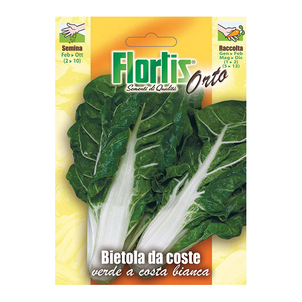 BIETOLA DA COSTE BIANCHE