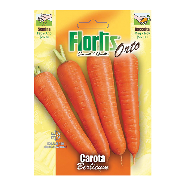 CAROTA Berlicum