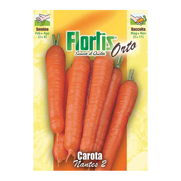 CAROTA Nantes 2