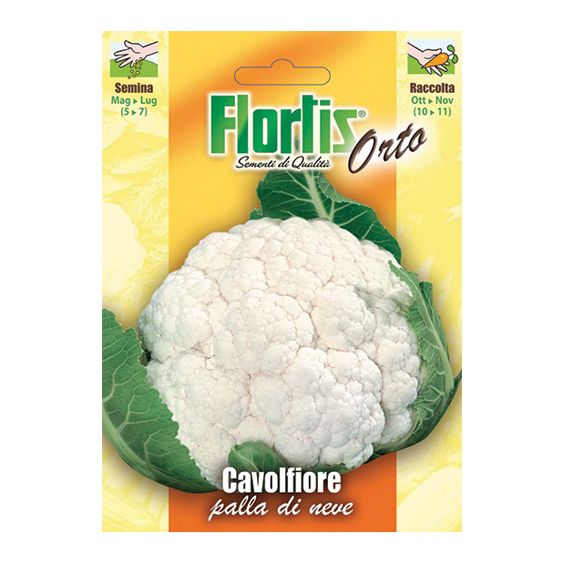 CAVOLFIORE PALLA DI NEVE