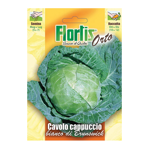 CAVOLO CAPPUCCIO