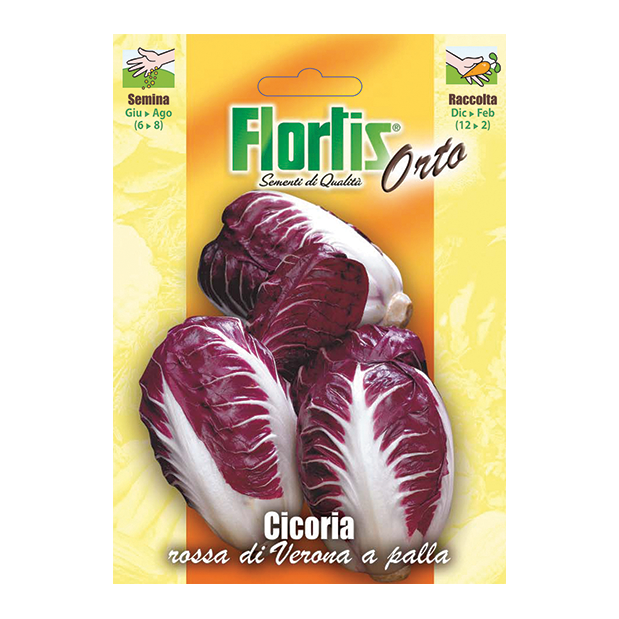 CICORIA ROSSA di Verona