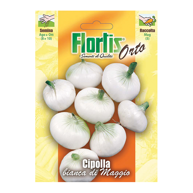 CIPOLLA bianca di Maggio
